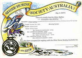 view sample registration certificate